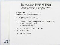 登錄號:F0014762藏品圖，第2張