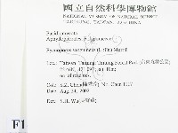 血紅密孔菌藏品圖，第2張