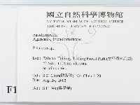 登錄號:F0014764藏品圖，第2張