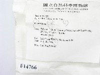 登錄號:F0014766藏品圖，第2張