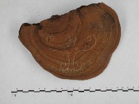 登錄號:F0014769藏品圖，第4張