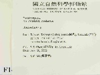 刺皮菌屬藏品圖，第2張