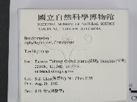 登錄號:F0014772藏品圖，第2張