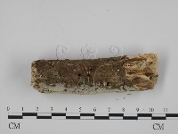登錄號:F0014772藏品圖，第3張