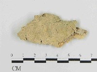 登錄號:F0014775藏品圖，第1張