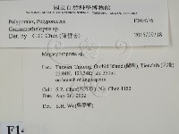 登錄號:F0014776藏品圖，第2張