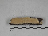 登錄號:F0014776藏品圖，第1張