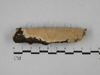 登錄號:F0014776藏品圖，第3張