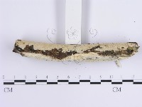登錄號:F0014778藏品圖，第4張