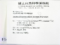 登錄號:F0014779藏品圖，第2張