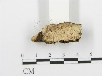 登錄號:F0014779藏品圖，第3張