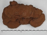 登錄號:F0014780藏品圖，第4張
