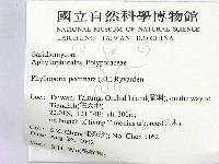 登錄號:F0014781藏品圖，第2張