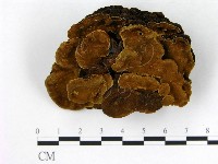 登錄號:F0014781藏品圖，第1張