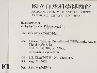 登錄號:F0014784藏品圖，第2張