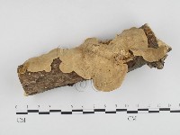 登錄號:F0014784藏品圖，第1張