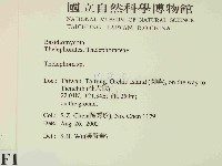 革菌屬藏品圖，第2張