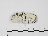 登錄號:F0014786藏品圖，第1張