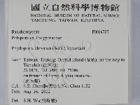 登錄號:F0014787藏品圖，第2張