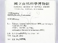 登錄號:F0014788藏品圖，第2張
