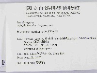 黄柄小孔菌藏品圖，第2張