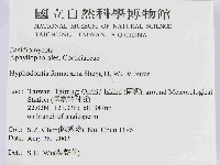 登錄號:F0014794藏品圖，第2張