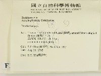 樹狀皮革菌屬藏品圖，第2張