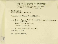 登錄號:F0014797藏品圖，第2張