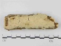 登錄號:F0014797藏品圖，第1張