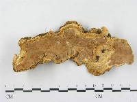 登錄號:F0014798藏品圖，第1張