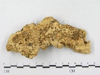 登錄號:F0014798藏品圖，第3張