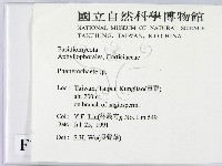 顯絲菌屬藏品圖，第2張