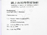 顯絲菌屬藏品圖，第2張