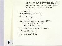 顯絲菌屬藏品圖，第2張