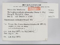 登錄號:F0014816藏品圖，第2張