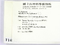 登錄號:F0014817藏品圖，第2張
