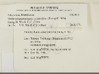 登錄號:F0014818藏品圖，第2張