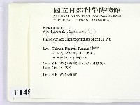 登錄號:F0014822藏品圖，第2張