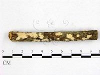 登錄號:F0014822藏品圖，第1張