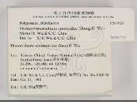 登錄號:F0014826藏品圖，第2張
