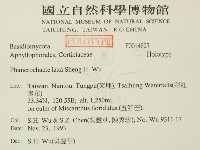 登錄號:F0014827藏品圖，第2張