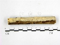 登錄號:F0014827藏品圖，第1張