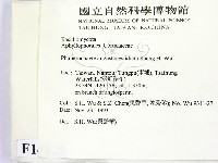 登錄號:F0014828藏品圖，第2張