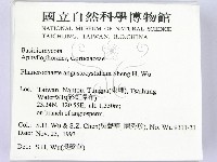 登錄號:F0014830藏品圖，第2張
