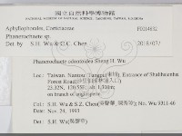 顯絲菌屬藏品圖，第2張