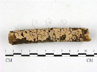 登錄號:F0014833藏品圖，第1張