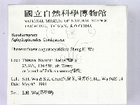 登錄號:F0014834藏品圖，第2張