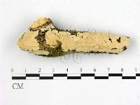 登錄號:F0014835藏品圖，第1張