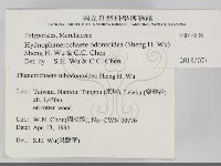 登錄號:F0014836藏品圖，第2張