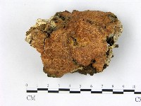 登錄號:F0014836藏品圖，第1張